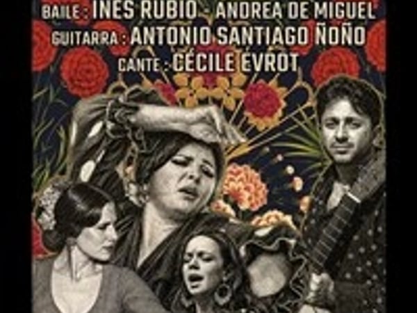 Inés Rubio : Tablao Flamenco