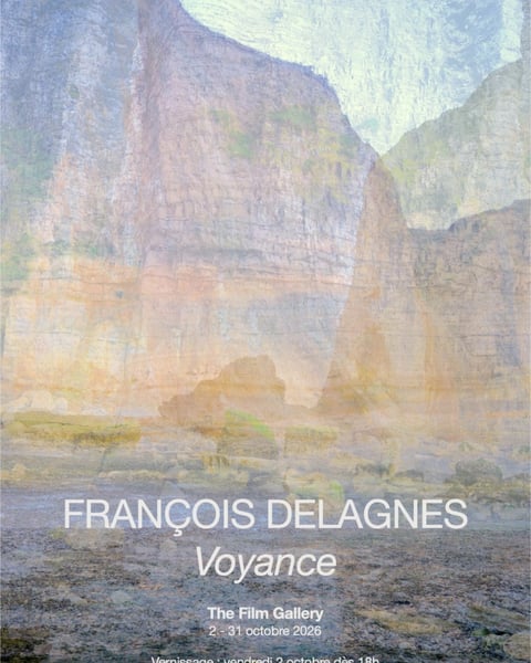 Voyance : François Delagnes