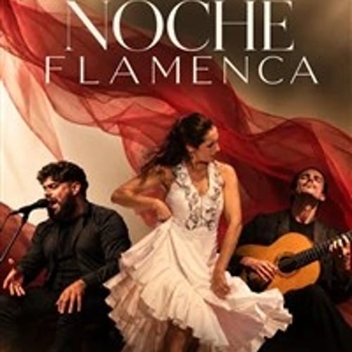Noche Flamenca Nati James 1