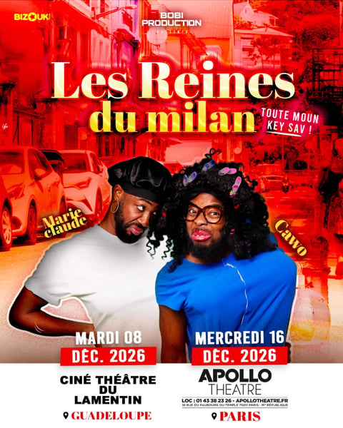 Les Reines du Milan - Tour