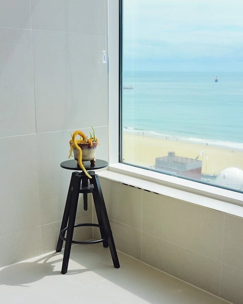 Park Chan-wook : Photographe. Quand l’horloger immobilise le temps