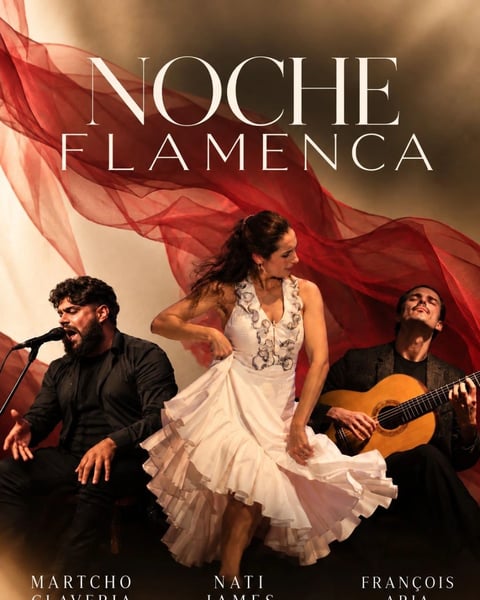 Noche Flamenca Nati James
