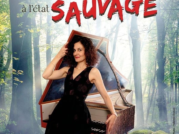 Clavecin à l'état sauvage
