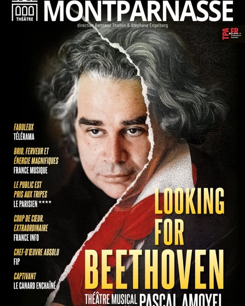 Looking for Beethoven