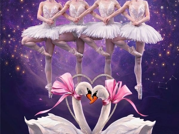 Le Lac des Cygnes