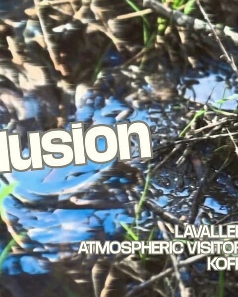 Daisylusion - En Cale !