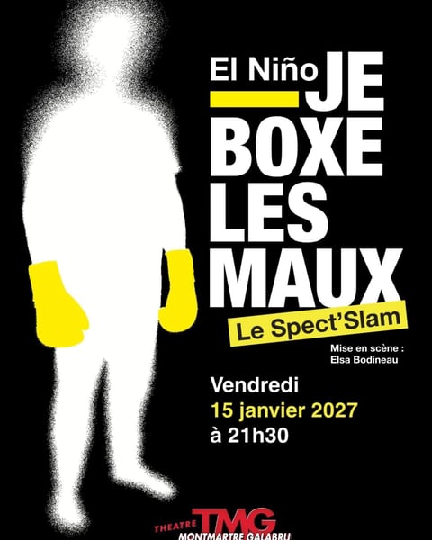 Je boxe les maux