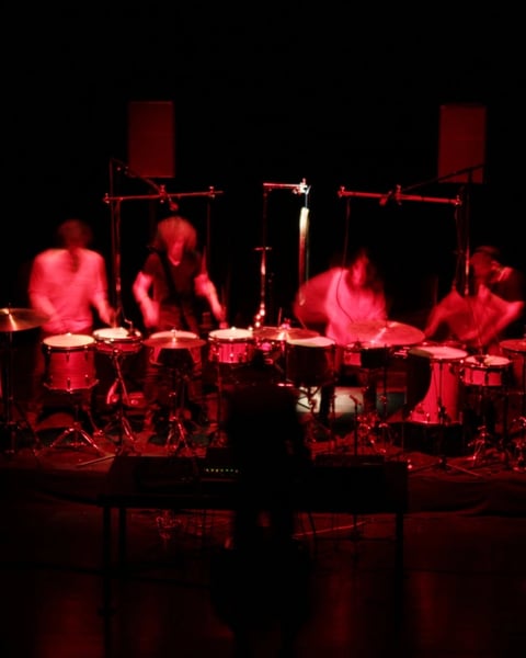 Myotis V
