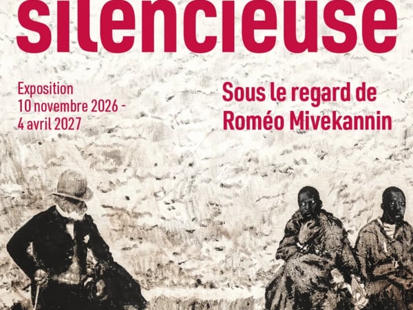 Violence silencieuse, Sous le regard de Roméo Mivekannin