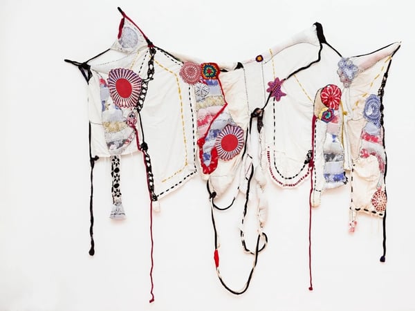 Sonia Gomes, Cœur sauvage