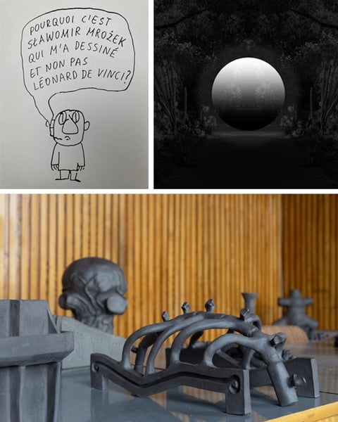 Là où poussent les fictions