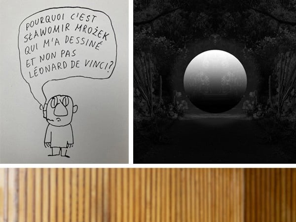Là où poussent les fictions
