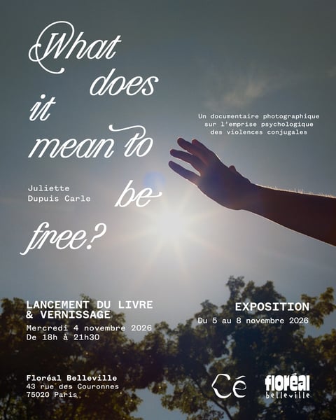 What does it mean to be free ?, exposition de Juliette Dupuis Carle