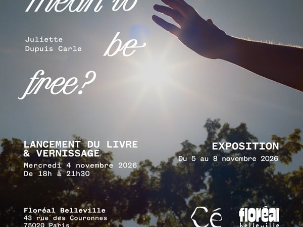 What does it mean to be free ?, exposition de Juliette Dupuis Carle