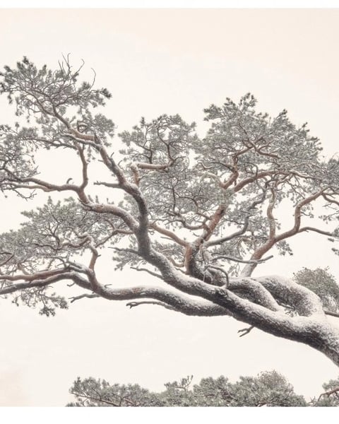 Stille : Michael Schnabel