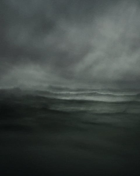 Transcripts of a Sea : Stephan Vanfleteren
