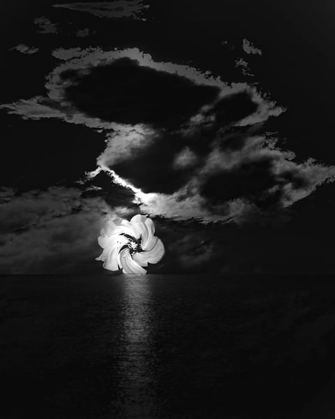 Rêvalités : Adam Akner