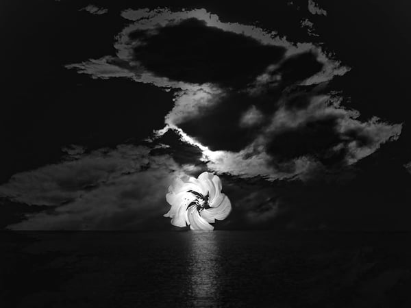 Rêvalités : Adam Akner