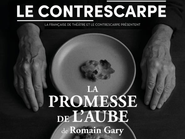 La Promesse de l'aube
