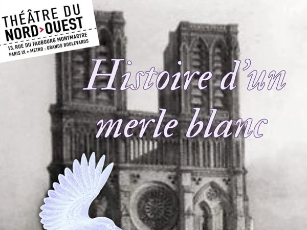 Histoire d'un Merle Blanc