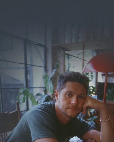 Niall Horan, Dinner Party Live on Tour