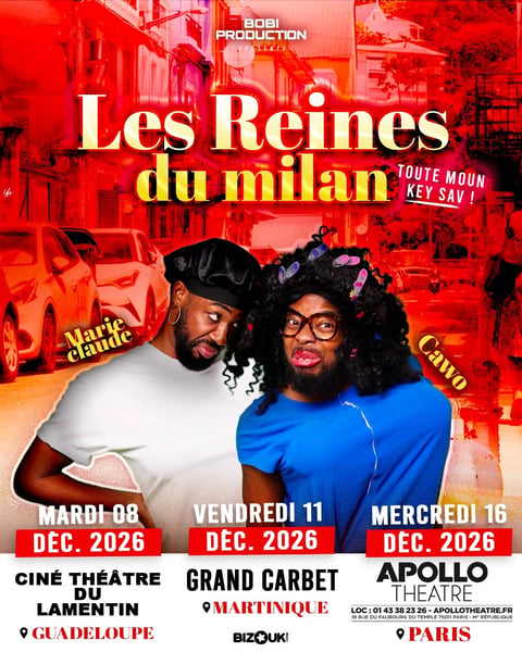 Les Reines du Milan - Tour